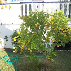 Сasa de vacaciones Capistrano1, Nerja